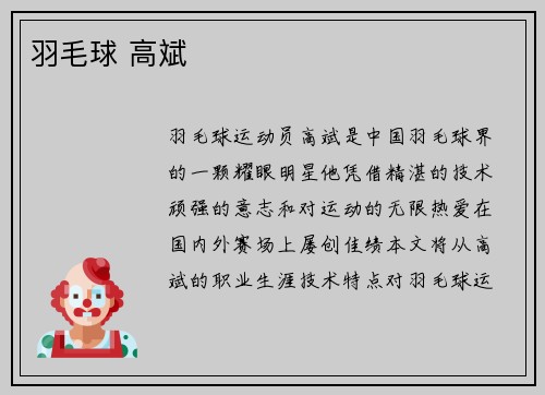 羽毛球 高斌