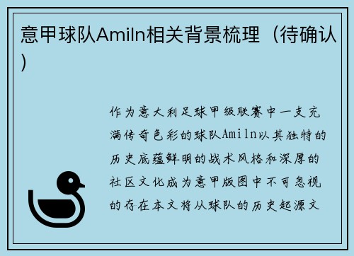 意甲球队Amiln相关背景梳理（待确认）